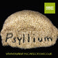 PSYLLIUM HUSK